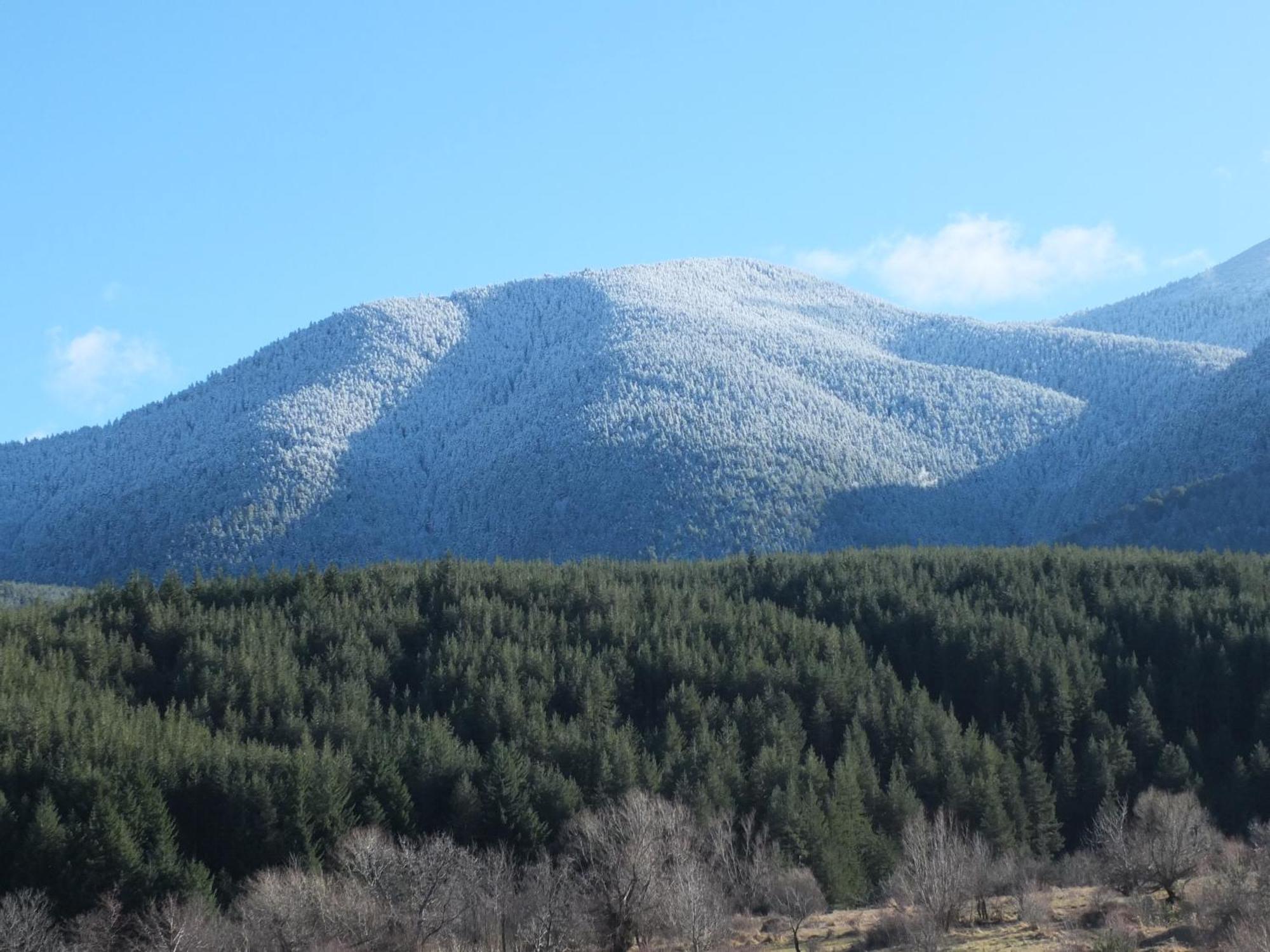 Pirin Heights A-21 Близо До Ски Пистата Διαμέρισμα Μπάνσκο Εξωτερικό φωτογραφία